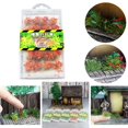thumbnail image 4 of 1 caja de racimo DIY juego de césped artificial en miniatura para 01 Zulema  Micro paisaje de hierba, 4 of 8
