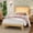 No drawer, variant on TWIN/FULL/QUEENL/KING Size Platform Bed Frame with Square Rattan Headboard, RGB LED Lights & 4 Storage Drawers, Composite Wood, Wood Slats, No Box Spring Needed, Easy Assembly