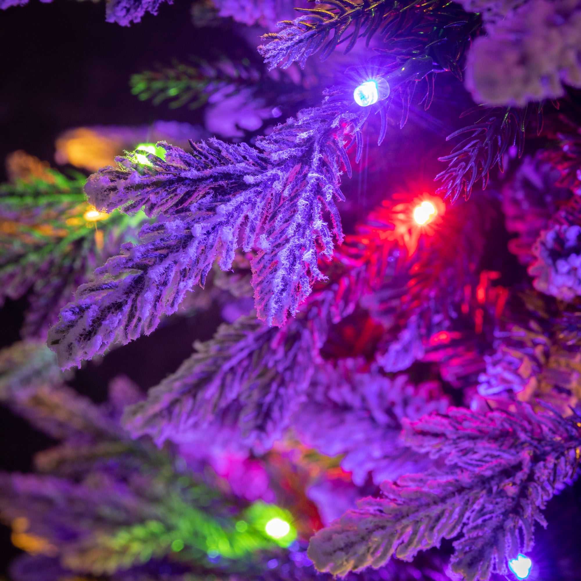 7' Sullivans Potted Lit Snowy Pine Tree, Green