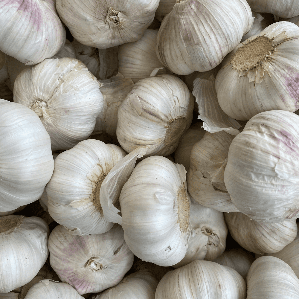 0.5Lb Mix Garlic Bulbs for Planting, Assorted Heirloom Garlic Bulbs, Hardy Garlic Buls for Container and Outdoor Garden