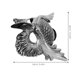 thumbnail image 3 of ColoMX Máscara de Halloween: Máscara de búho para adultos - Accesorio de plástico de media cara para fiestas de cosplay y carnaval., 3 of 7