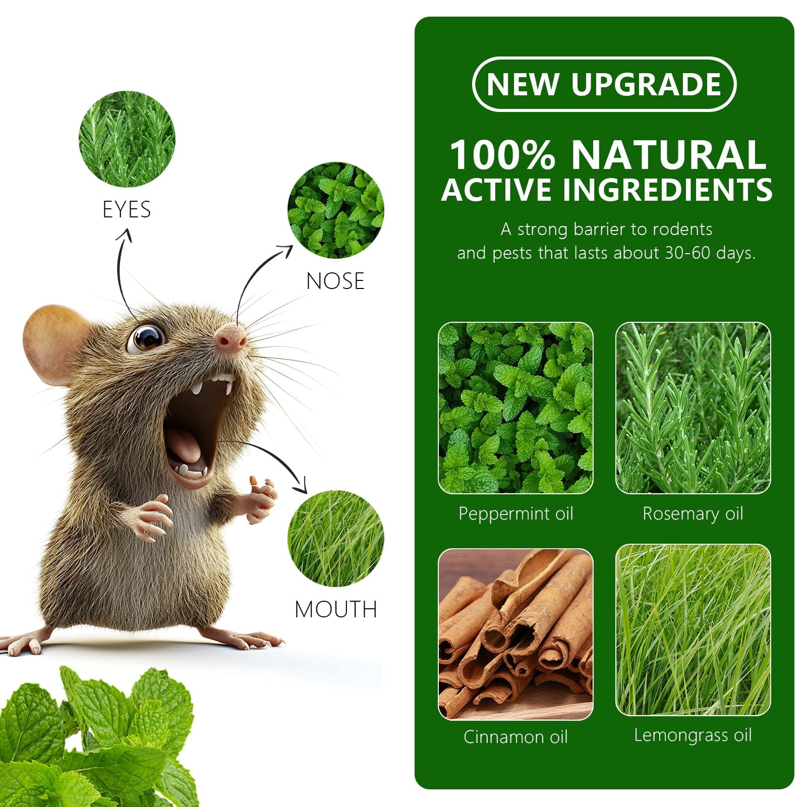 NaturalRepellent Ball： RodentRepellent is formulated with botanical rodentrepellents that leavepests with no place to hide. No traps, no harsh chemicals.