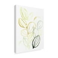 thumbnail image 2 of Trademark Fine Art 'Seed Spectrum I' Canvas Art by June Erica Vess, 2 of 4