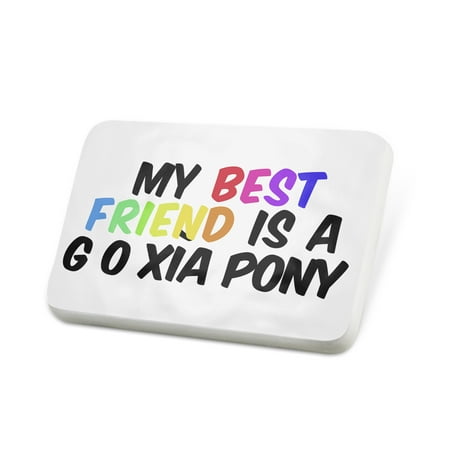 Porcelein Pin My best Friend a Gǔo-xìa pony Chinese Guoxia, Horse Lapel Badge –