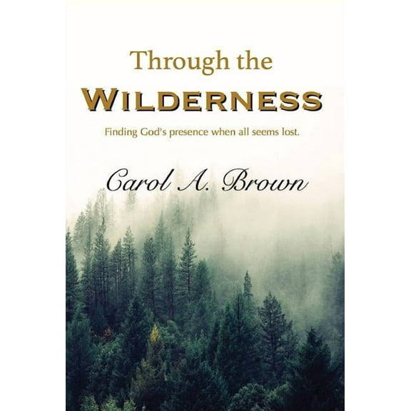 Through The Wilderness: Finding God's presence when all seems lost., (Hardcover)