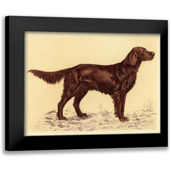 Collot, Andres 14x12 Black Modern Framed Museum Art Print Titled - Hunting Dogs-Setter