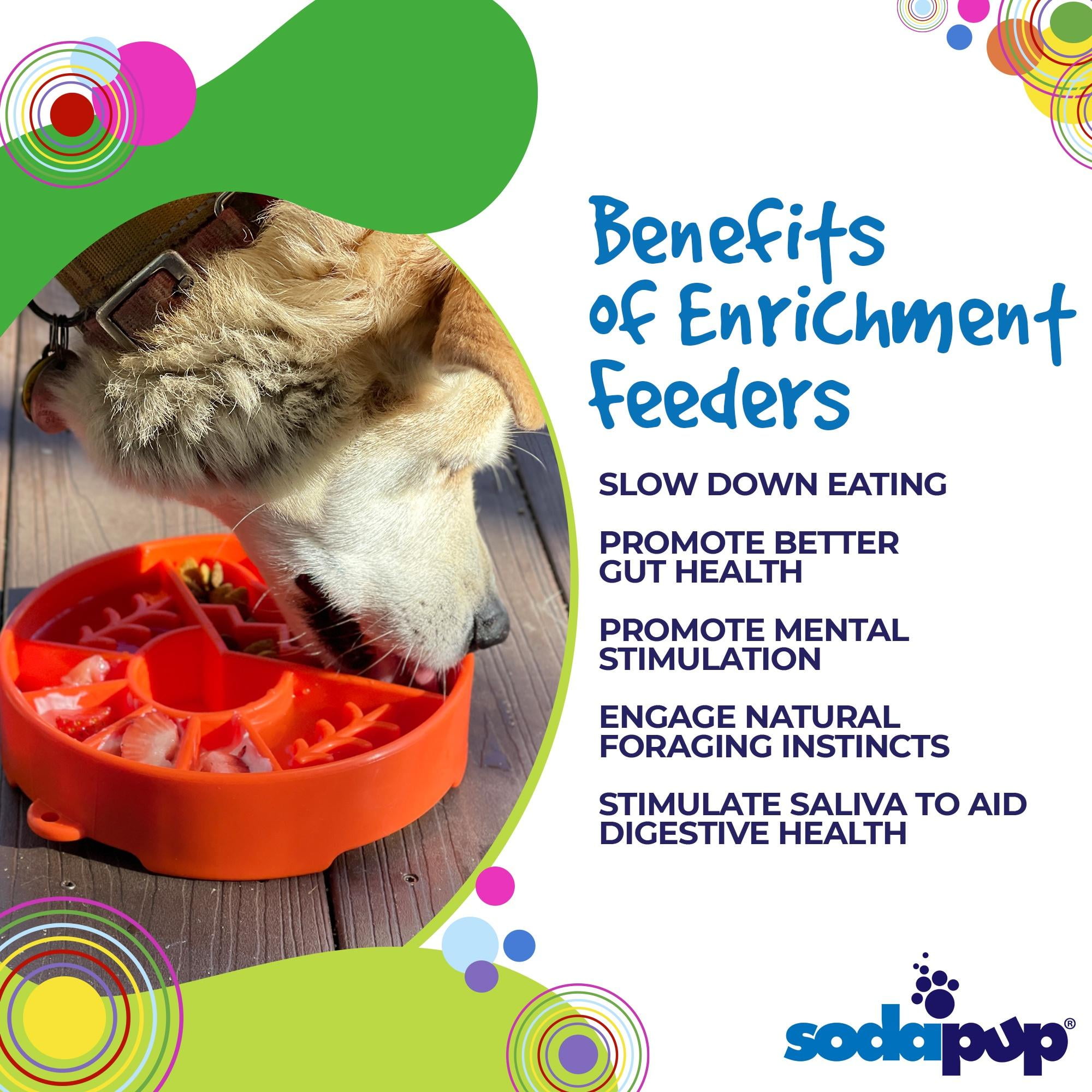 Sodapup Great Outdoors Design eBowl Enrichment Slow Feeder Bowl for Dogs, L, Orange