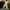 Yellow-A1, variant on Women's High Waisted Pants Casual Ankle Length Trouser Flowy Wide Leg Trousers Beach Harem Pants with Pockets Army Green2XL