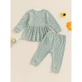 thumbnail image 5 of FEORJGP Little Girl 2Pcs Casual Outfits 12M 18M 2T 3T 4T 5T Toddler Baby Long Sleeve Sweatshirts Floral Print Pullovers Crew Neck Tops Elastic Waist Le Comfy 2Pcs Clothes Set for Spring Fall, 5 of 9