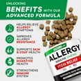 thumbnail image 2 of StrellaLab Dog Allergy Relief & Anti Itch Relief for Dogs Chews with Omega 3 - Skin & Coat Immune Supplement with Fish Oil, Pumpkin & Enzymes — Developed by Experts - Made in USA - 120 Count, 2 of 8