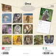 thumbnail image 2 of Owls | 2026 12x24" (Hanging) Square Wall Calendar | Plastic-Free, 2 of 9