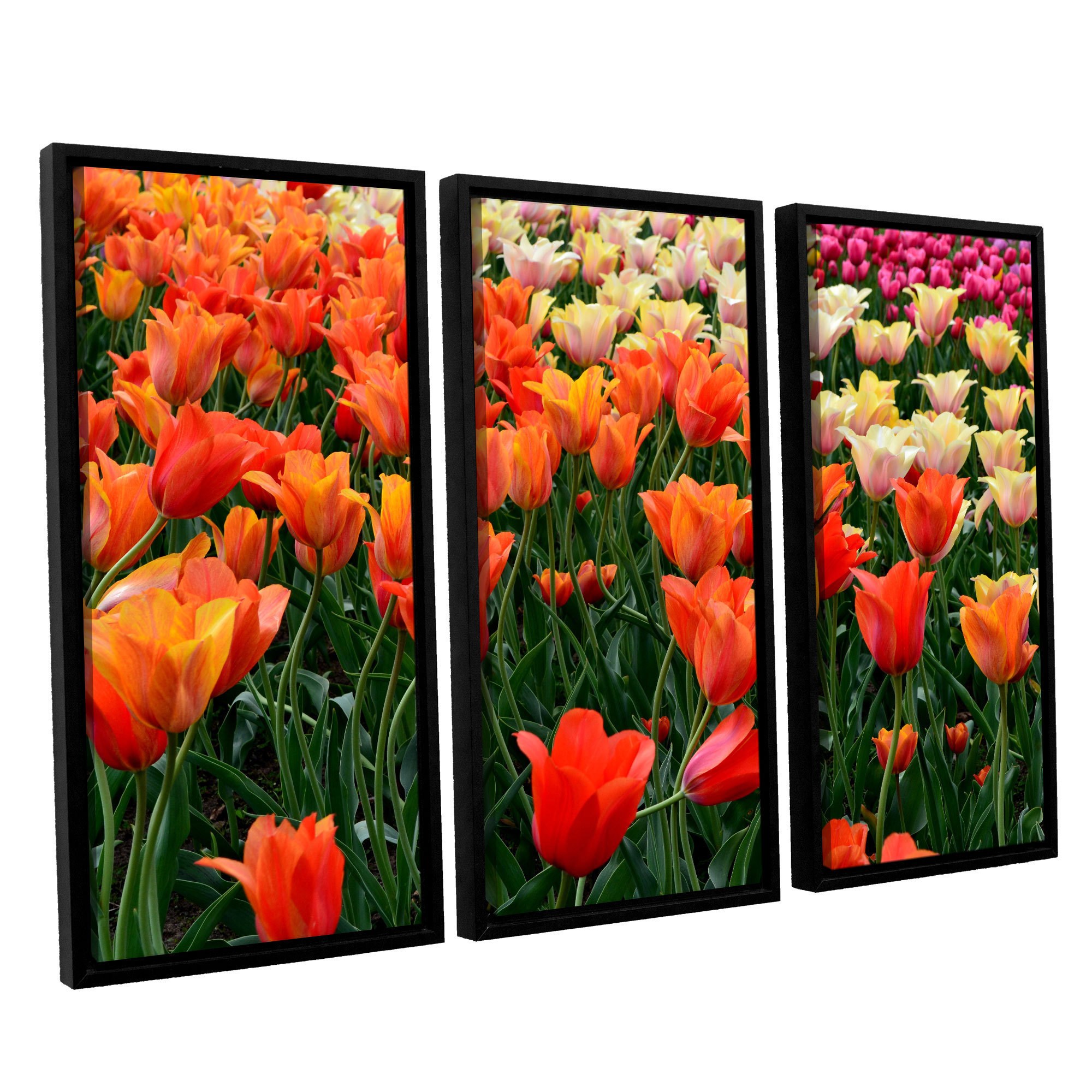 ArtWall Kevin Calkins "Tulips in Spring" 3-Piece Floater Framed Canvas Set