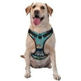 thumbnail image 1 of Sikiie Let's go Travel Pattern Pet Traction Vest, No-pull Adjustable Buckle Reflective Dog Harness, Suitable for Small, Medium and Large Dogs-Small, 1 of 6