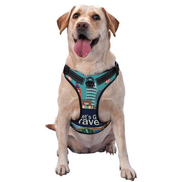 Fotbe Let's go Travel Arnés para Perro con Estampado –Chaleco Ajustable Acolchado con Asa de Control para Perros Grandes-Medium