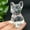 Clear Quartz, variant on GKNET Natural Quartz Crystal Handcarved Small Animal French Bulldog Reiki Home Decor-Strawberry Quartz