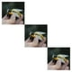 thumbnail image 5 of Tholdsy Bugs juguetes de modelo de simulación electrónica decoración de gatos mariquita Hornet bebé juguete suministros para Type1 NO1, 5 of 6