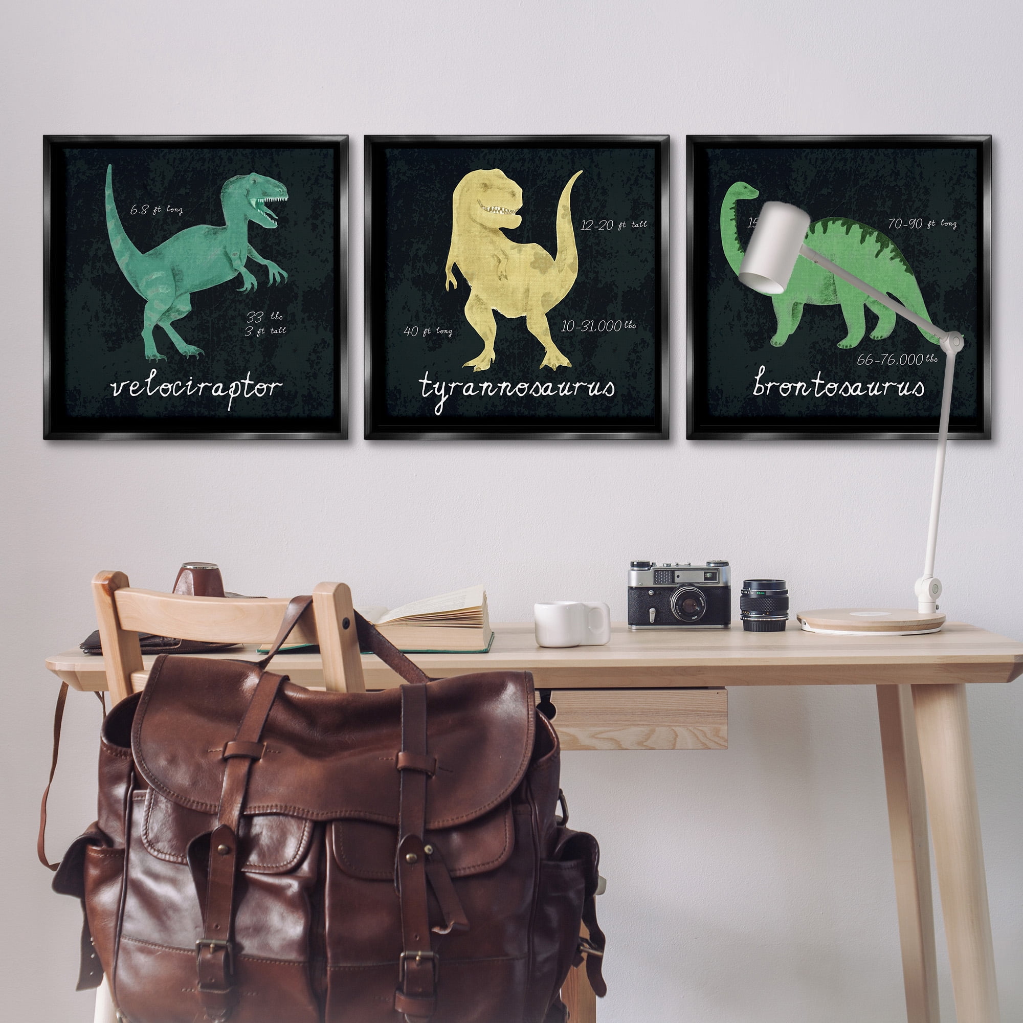 Stupell Industries Dinosaur Facts Chalk Inspired Design Animals & Insects Painting Black Floater Framed Canvas Art Print Wall Art, 25 x 25, Set of 3