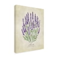 thumbnail image 3 of Trademark Fine Art Rosana Laiz Blursbyai Lavender vintage Canvas Wall Art, 3 of 4