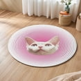 thumbnail image 3 of Sentmoon Bath Rugs for Bathroom Room Rug Customized Pet Pictures Crystal Velvet Carpets Around The Living Room and Bedroom Washable Cats and Dogs Gift Items, 3 of 5