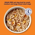 thumbnail image 4 of Nature's Recipe Grain Free Chicken Recipe in Savory Broth Wet Dog Food, 2.75 oz Cup, 4 of 12
