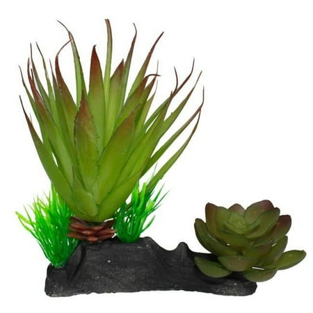 UPC: 0784369933123 | MultiPet 784369933123 Komodo Succulent Plant – One Size