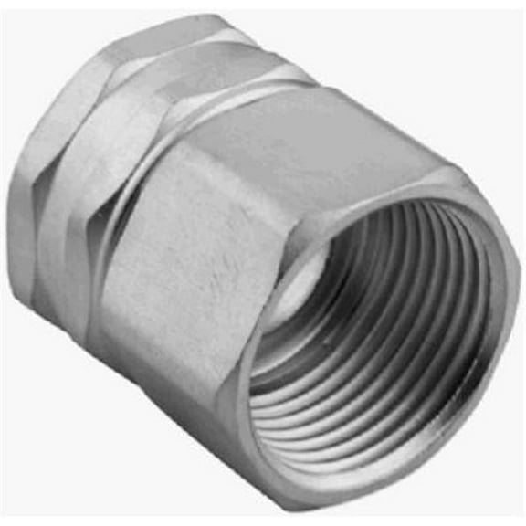 0.75 x 75 in. Green Thumb Threaded Pipe to Female Hose Connector