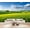 Color 4, variant on Wallpaper Golden Wheat Field Round Bales Lone Tree Dramatic Cloudy Sky Peel and Stick Wall Murals 69"H x 96"W Removable PVC Wall Paper Self-Adhesive Wall Paintings Art Decor for Bedroom Living Room