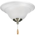 thumbnail image 3 of Trinity Collection Two-Light Ceiling Fan Light, 3 of 5
