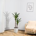 thumbnail image 2 of Artificial Plants, 4 Ft Dracaena Tree Faux Plants Indoor Outdoor Decor Fake Tree in Pot Slik Plants for Home Decor Office Living Room Porch Patio Perfect Housewarming Gift, 2 of 7