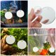 thumbnail image 3 of unbranded Doble Para Peces Betta Acrílico Con Para Ejercicio En Acuario, 3 of 8