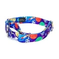 thumbnail image 3 of Country Brook Petz® Cosmic Dreams Martingale Dog Collar Closeout, Extra Small, 3 of 6