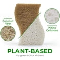 thumbnail image 2 of Esponja de cocina AIRNEX Natural Biodegradable, paquete de 24, 2 of 7