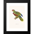 thumbnail image 2 of Coenraad Jacob Temminck 11x14 Black Modern Framed Museum Art Print Titled - Priest Parrot. (1838), 2 of 5