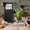 Multicolor, variant on Deeceymbur Large Foil Halloween Balloons Halloween Inflatables Outdoor Decorations For Indoor Home Party Garden Lawns Store