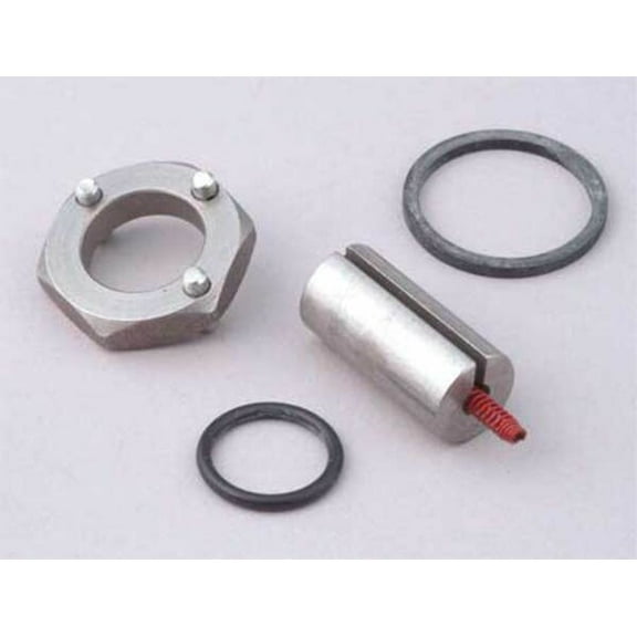 Dayton Valve Rebuild Kit,With Instructions 066045