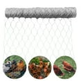 thumbnail image 4 of Galvanized Poultry Net - Metal Mesh Fencing / Chicken Wire 2" Holes, 4 of 10