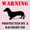 thumbnail image 2 of CafePress - Protected By A Dachshund Body Suit - Baby Light Bodysuit, Size Newborn - 24 Months, 2 of 4