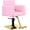 Pink Gold, variant on Pink Salon Chair for Hair Stylist, Height Adjustable Hydraulic Barber Chair 360 Degree Swivel, Beauty Spa Styling Hairdressing Braiding Chair for Women