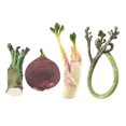 thumbnail image 2 of 4 accesorios de simulación de verduras, verduras decorativas realistas para centro de mesa. Estilo B, 2 of 9