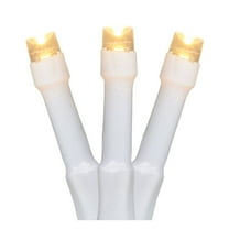 Battery Operated LED Christmas Lights - Warm White - 9.5' White Wire - 20ct