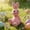 Pink-A, variant on Sulaicai Easter Decor Pink Resin Bunny Figurines, Flocked Cute Rabbit Statues for Indoor Outdoor Home Farmhouse Decor, Spring Garden & Tabletop Holiday Ornaments (B)