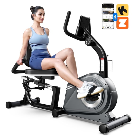 HASIMAN Recumbent Stationary Bikes for Seniors with Large Caption Display & Adjustable Resistance for Home Seniors Adults Max Weight 350lbs