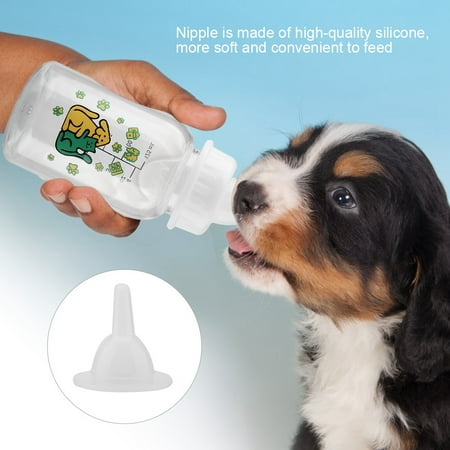 Walfront Kit De Biberon D Allaitement Pour Chiots Chatons Kit D Alimentation Biberons A Lait Pour Petits Animaux De Compagnie 125 Ml Walmart Canada Walfront Kit De Biberon D Allaitement Pour Chiots Chatons Kit D Alimentation Biberons A Lait Pour Petits Animaux De Compagnie 125 Ml Walmart Canada