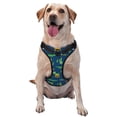 thumbnail image 1 of Kdxio Little Pirate Crocodile Print No Pull Dog Harness Adjustable Reflective Oxford Easy Control Medium Large Dog Harness for Training and Everyday-Medium, 1 of 6