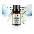 thumbnail image 1 of Aromaterapia Aceite soluble en agua Aromaterapia adecuada para humidificador 10 ml, 1 of 3