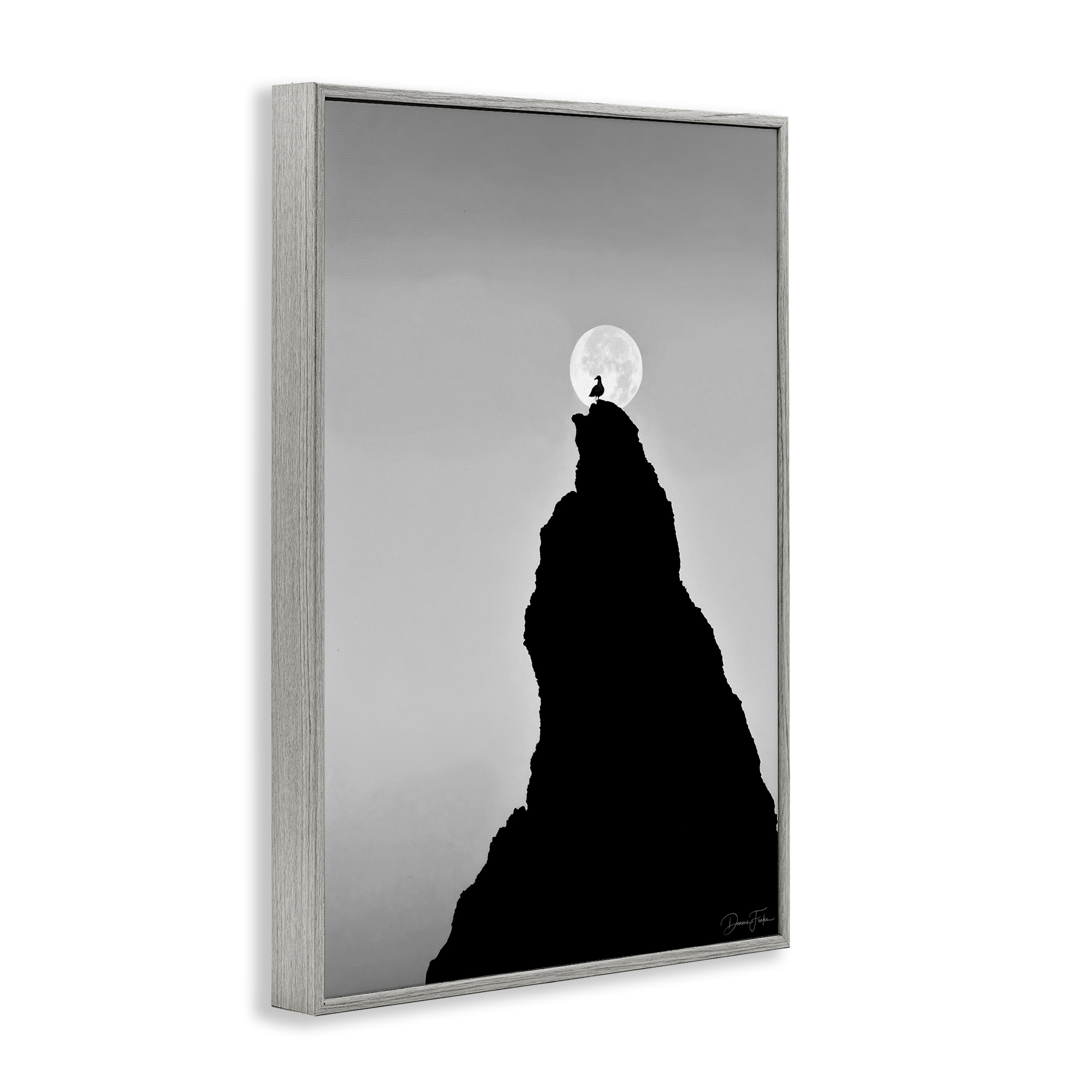 Stupell Industries Bird Silhouette on Peak Landscape Photography Gray Framed Art Print Wall Art, 12 x 18