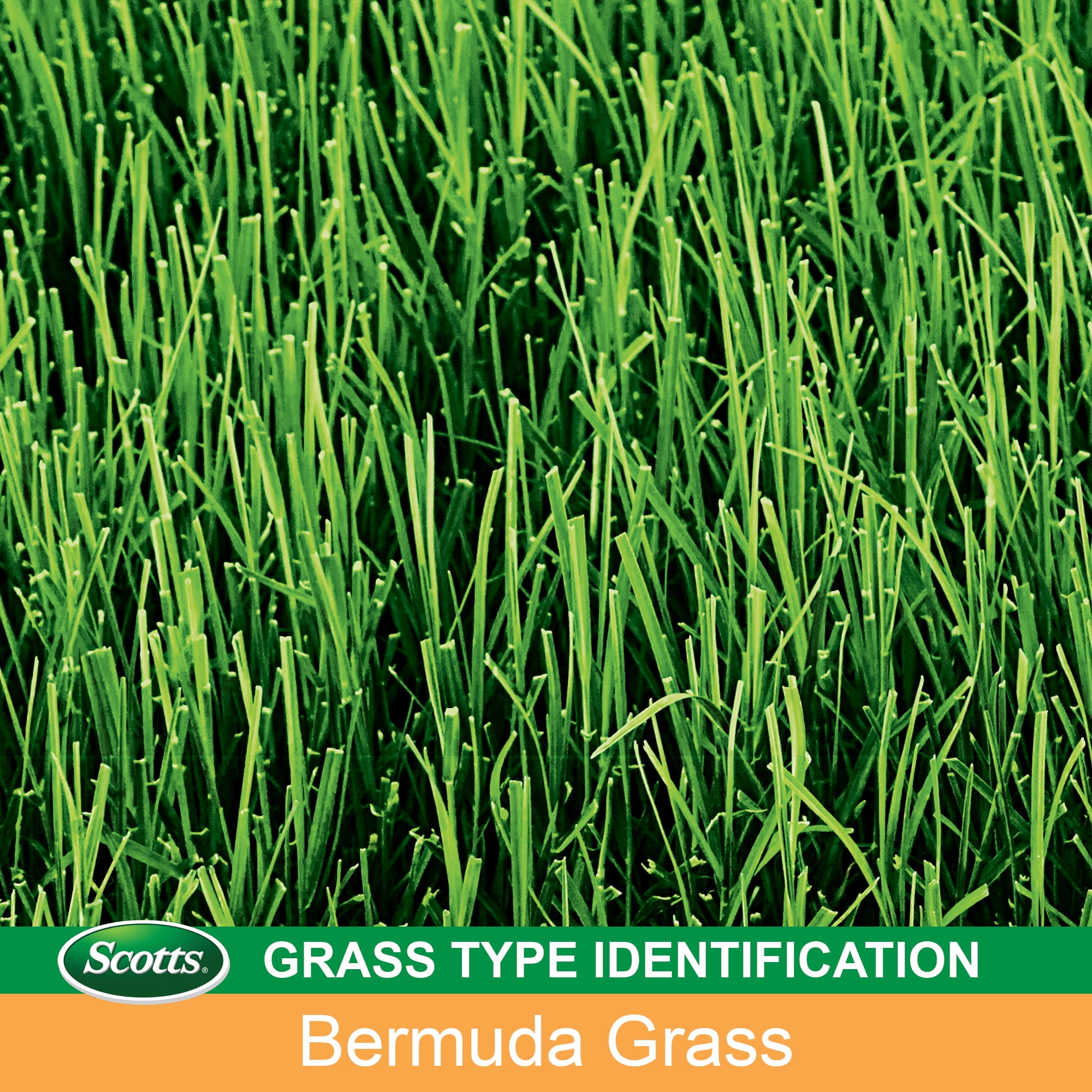 Scotts EZ Seed Patch & Repair Bermudagrass 20 lb.