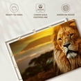 thumbnail image 6 of Elephant Stock Lion In African Safari Wall Art - Horizontal Canvas Wall Art - Living Room Wall Decor - Animal Canvas - Orange And Brown Decor - 51" x 34", 6 of 8