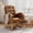 Orange, variant on Upholstered Rocking Chair with Ergonomic Design Hardwood Frame 300 lbs Capacity for Living Room Nursery Champagne