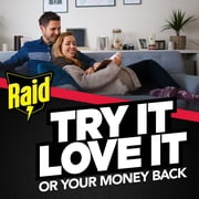 Raid Ant Baits Indoor Ant Insect Killer Traps, 0.12oz, 4 Count